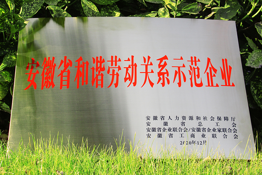 2020年榮獲“安徽省和諧勞動關系示范企業”榮譽稱號